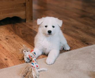 Finley Bryant